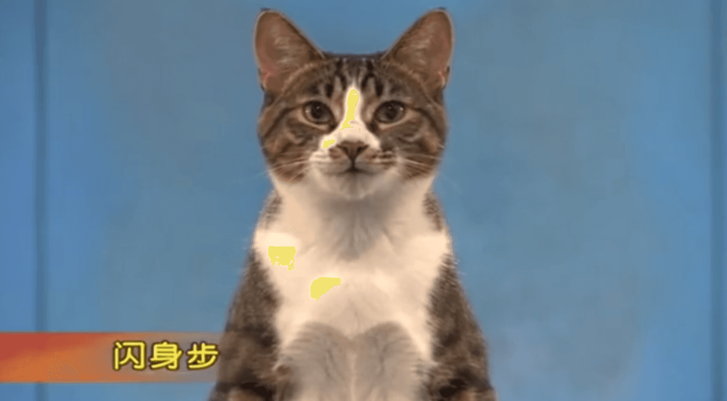 闪身步